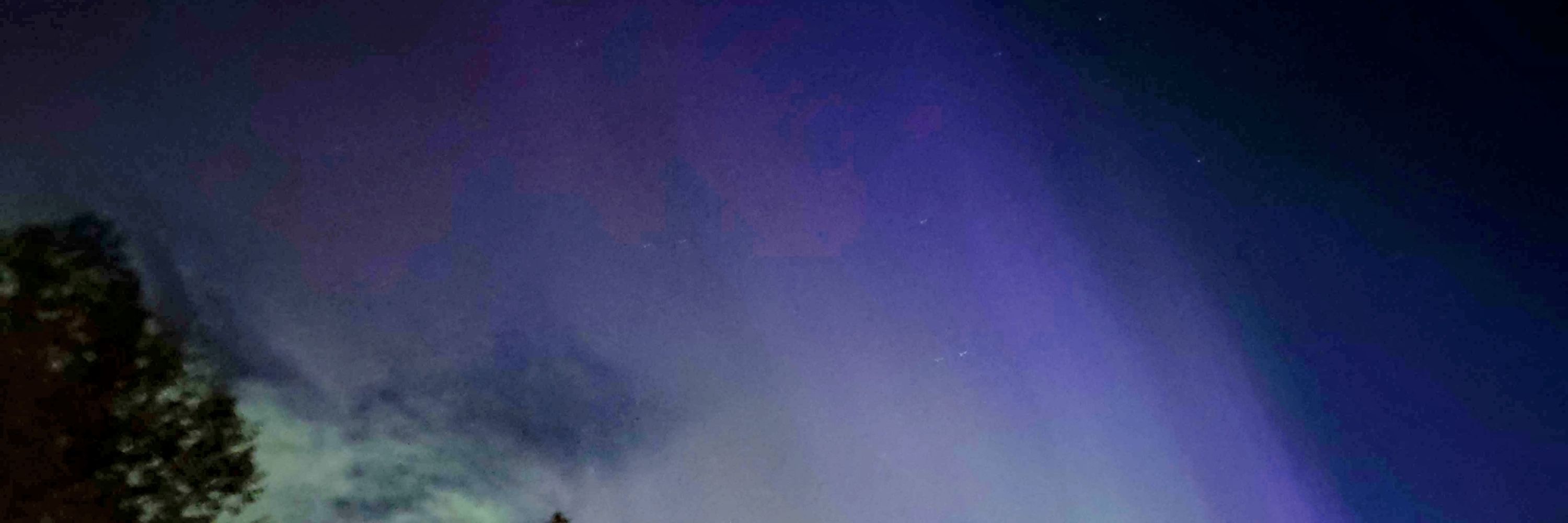 🏴‍☠️DiscordⒶntMuse🏴‍☠️