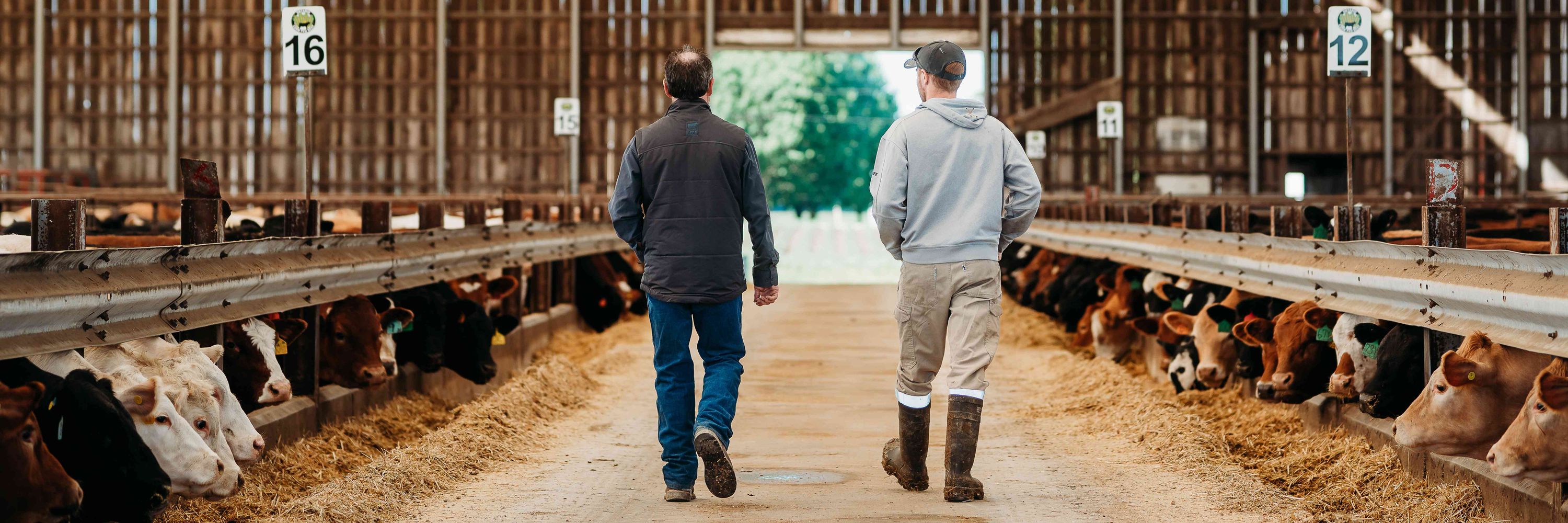 Beef Farmers of Ontario