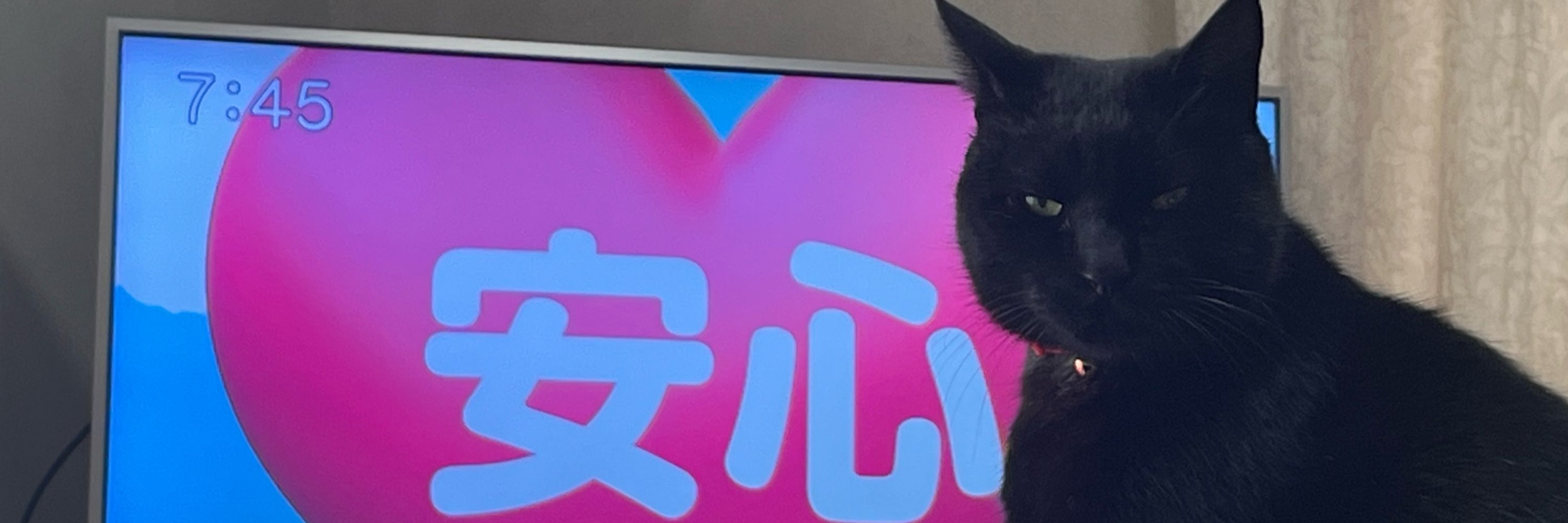 🍋くりむ🍊