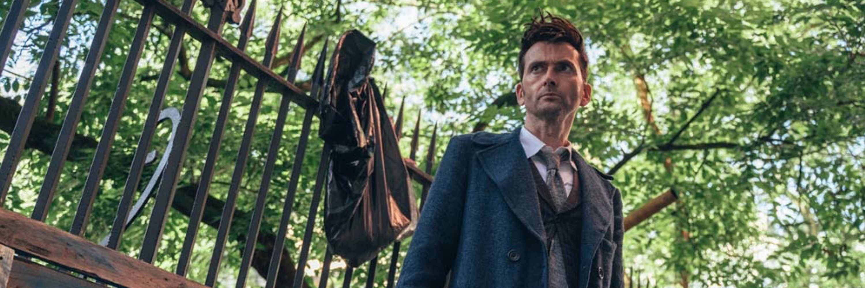 The Fourteenth Doctor