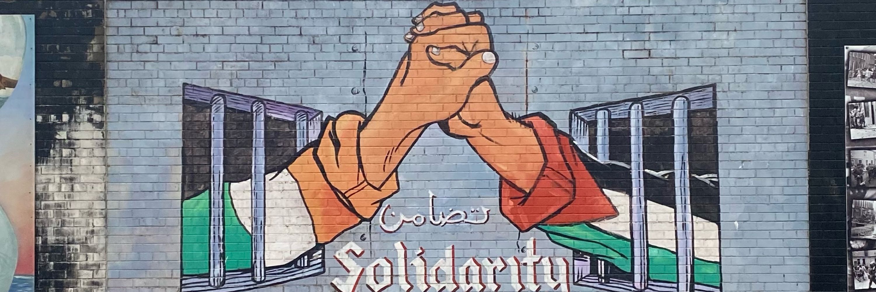 Salim 🇵🇸