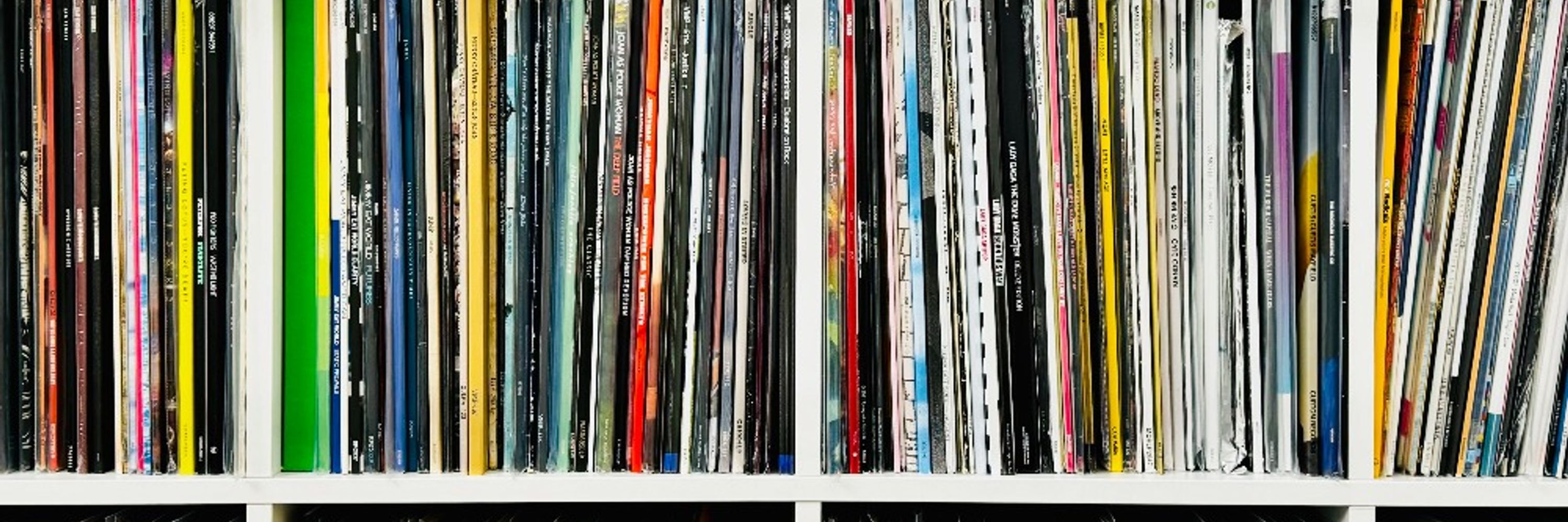 Vinyl and the Wolf
