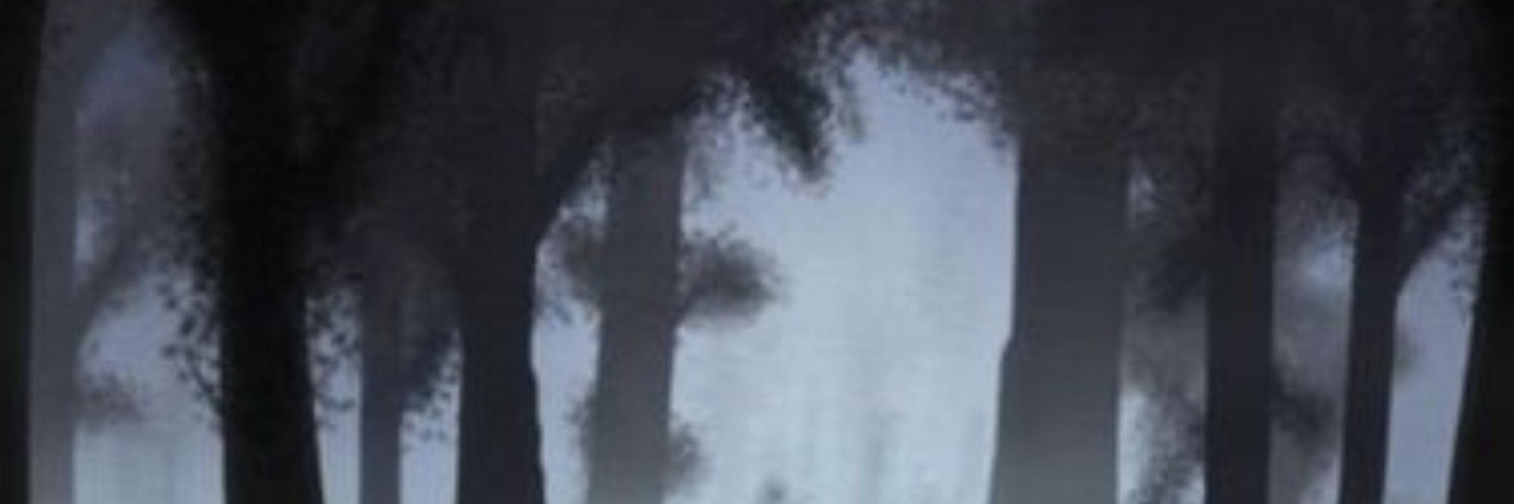 𝖐𝖆𝖙𝖊𝖘𝖌𝖗𝖎𝖒𝖒 💀
