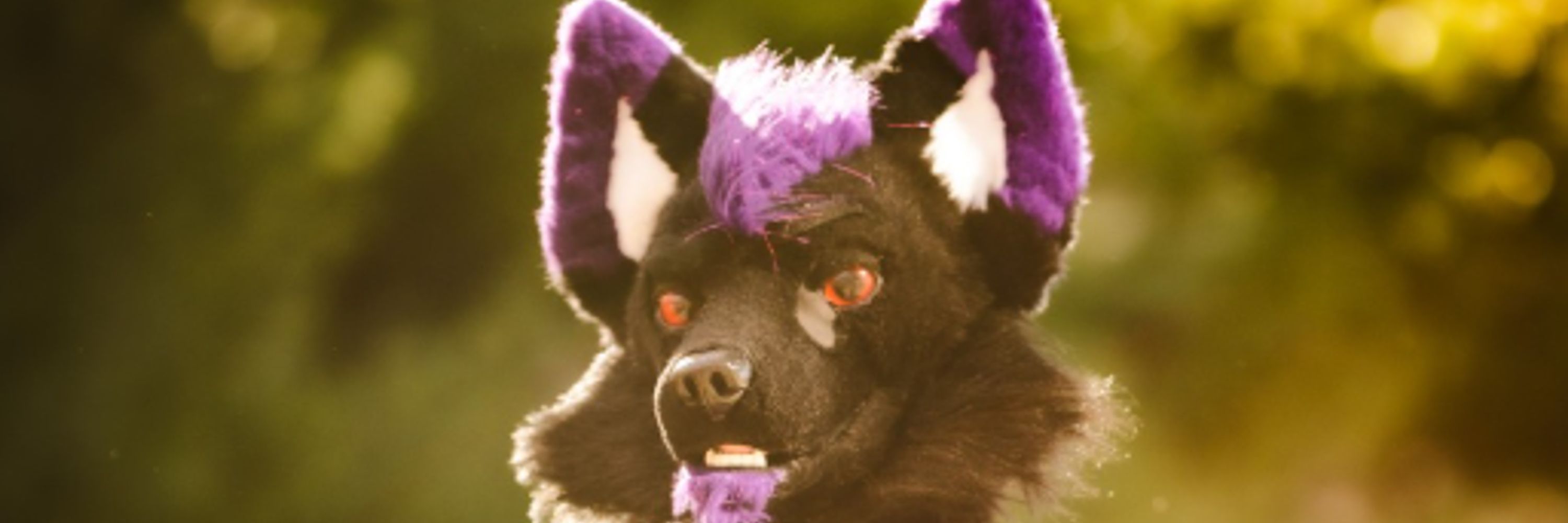 Nocturne💜Wolf
