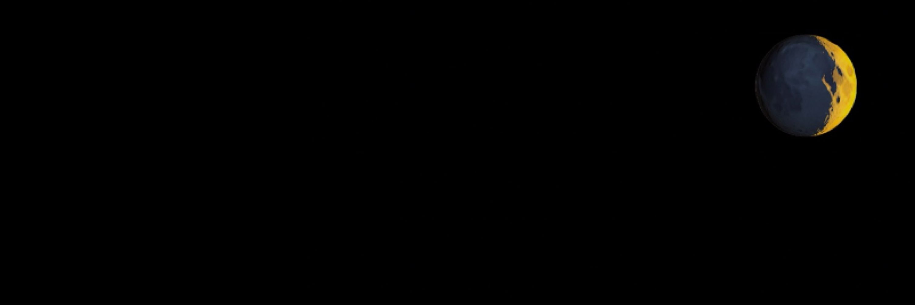 Assembloid