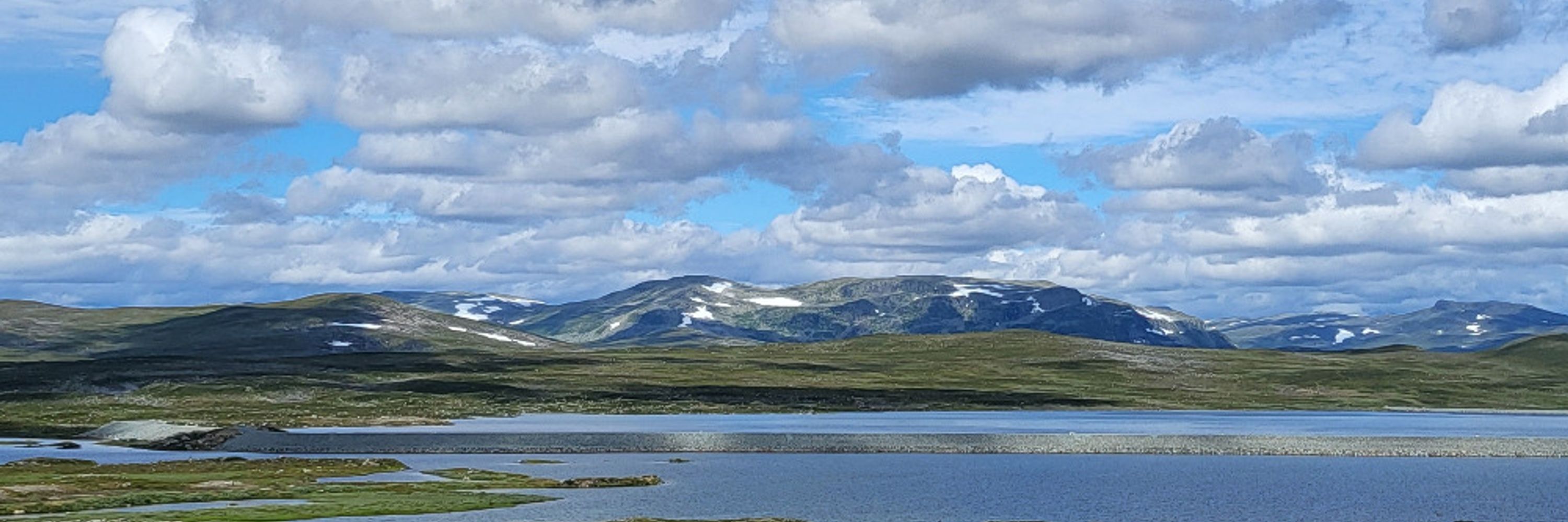Linn