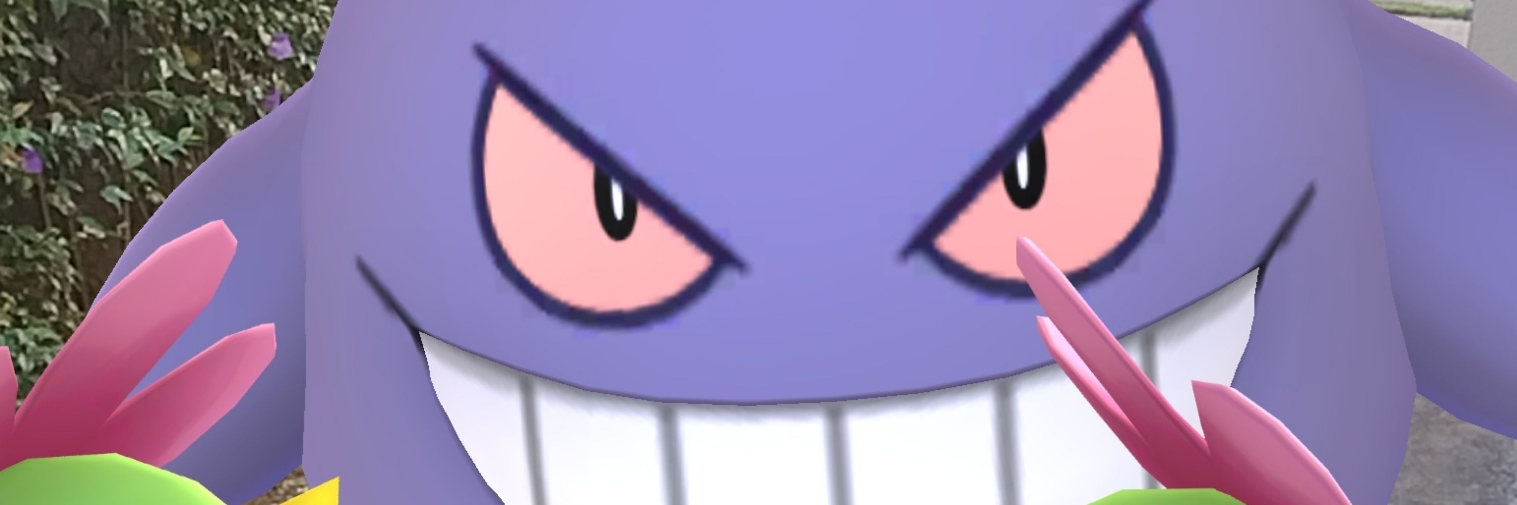 ᴘɪɴkcoon (new account)