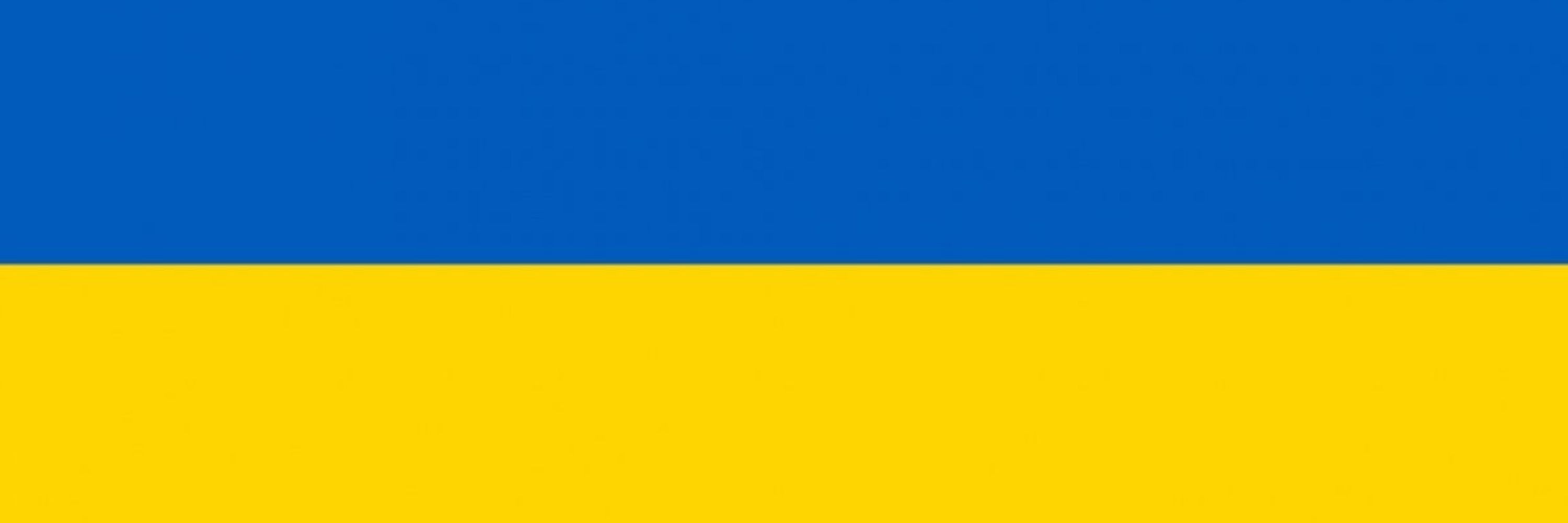 Пані Ліза просе грошей