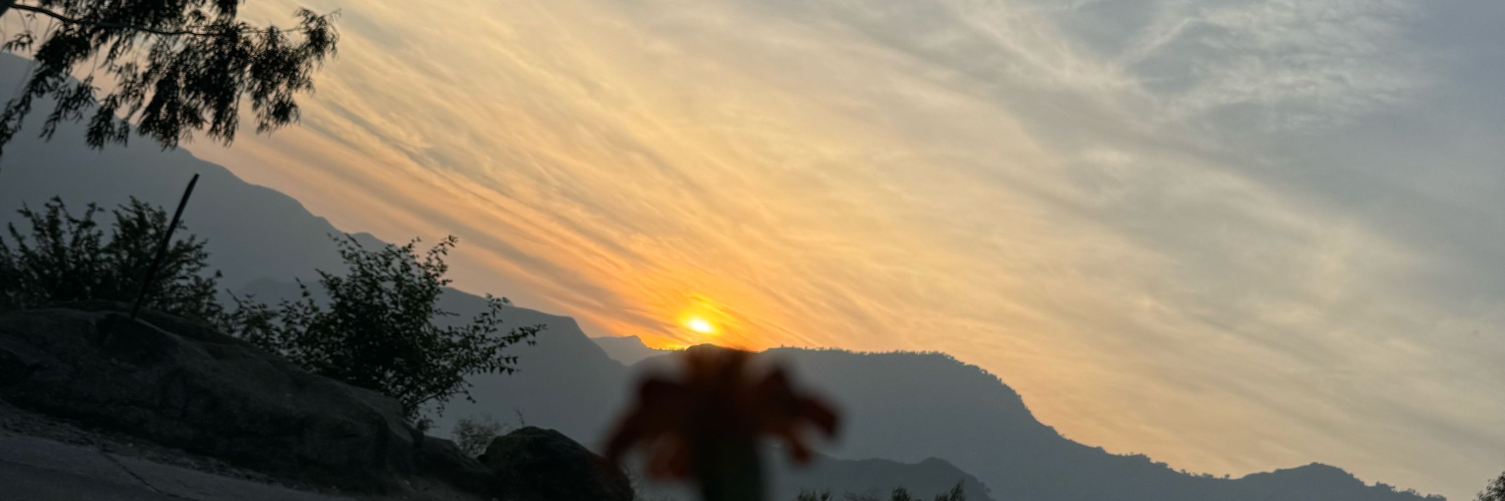 Ghani