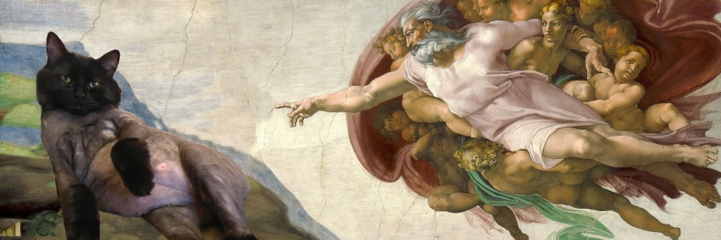 tj, space guardian