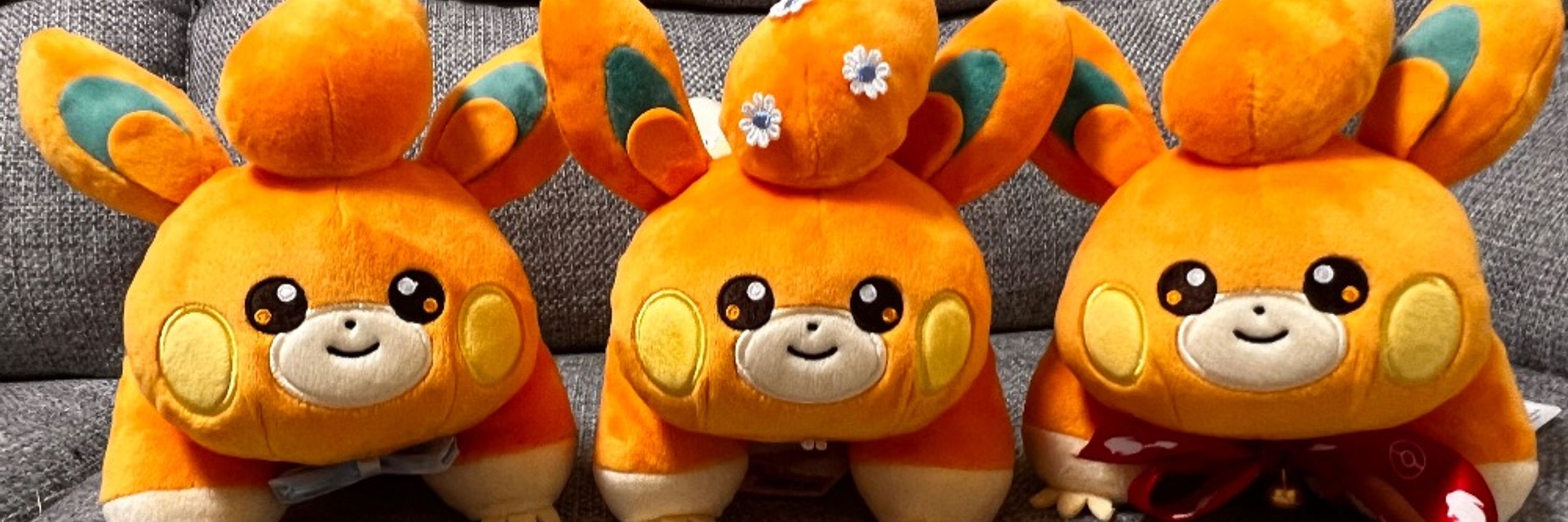 パモッケツ🍊