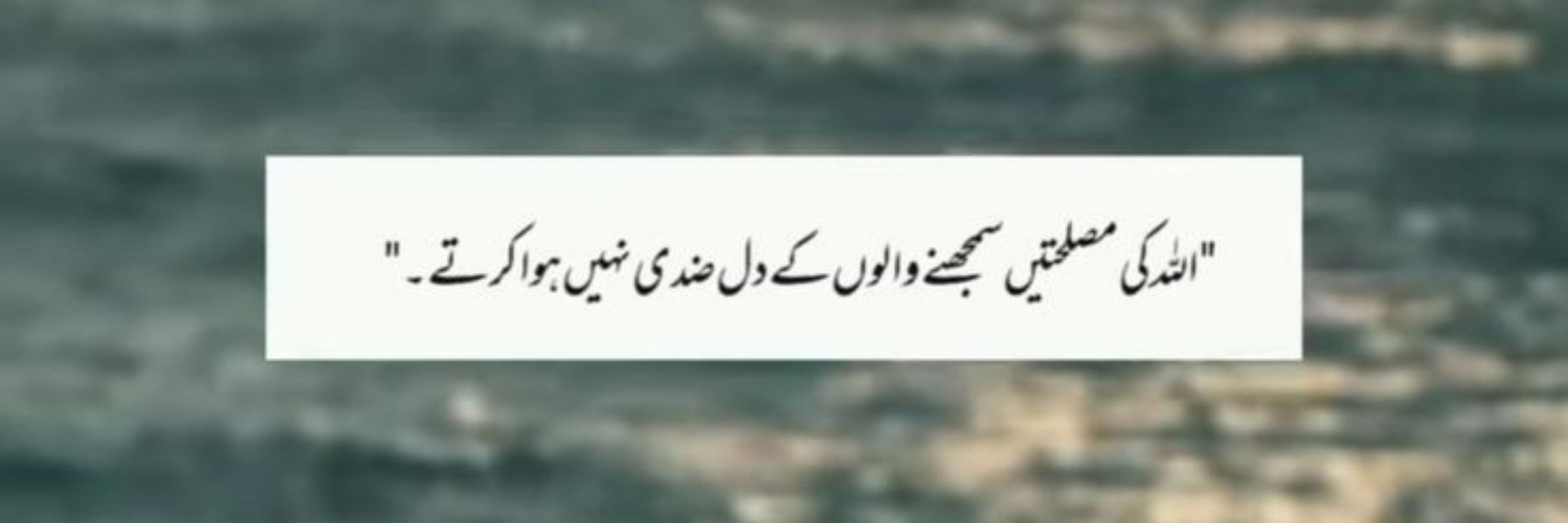 زامڑاں