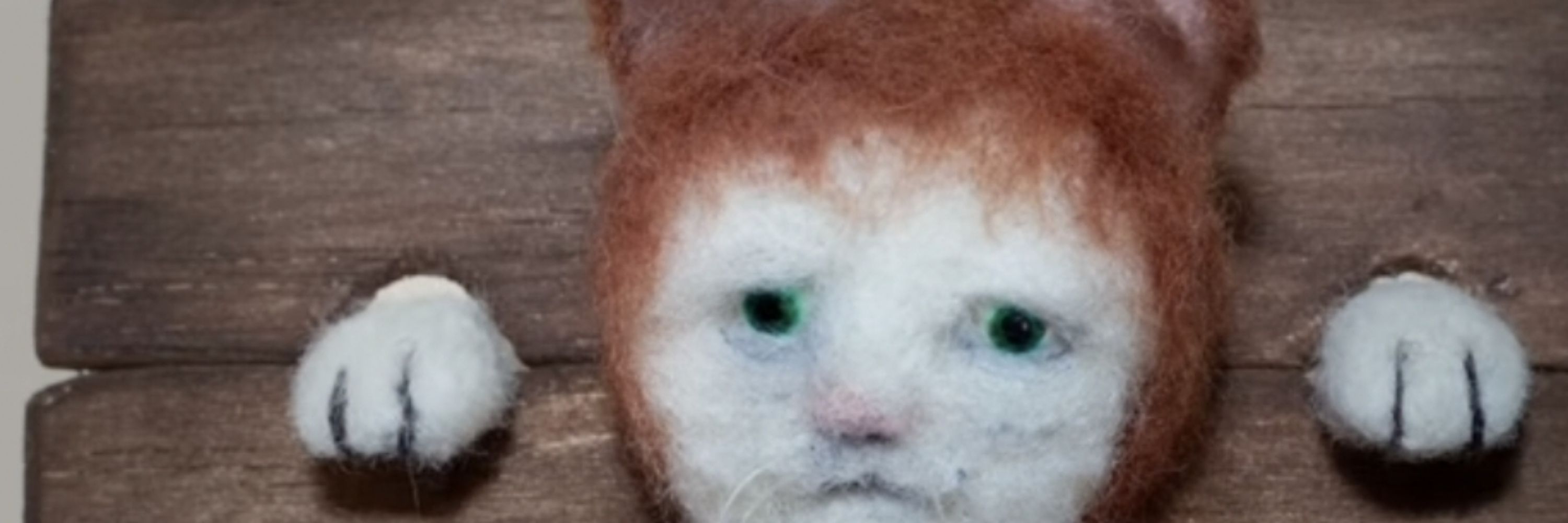 Jared Nash