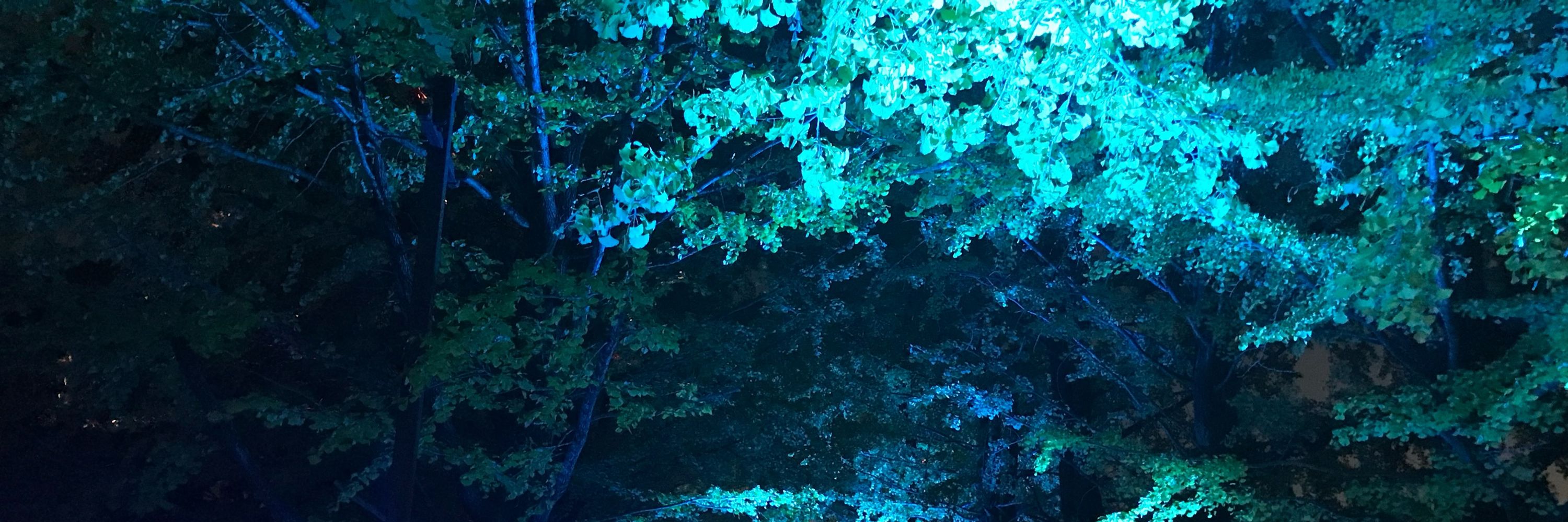 SSB