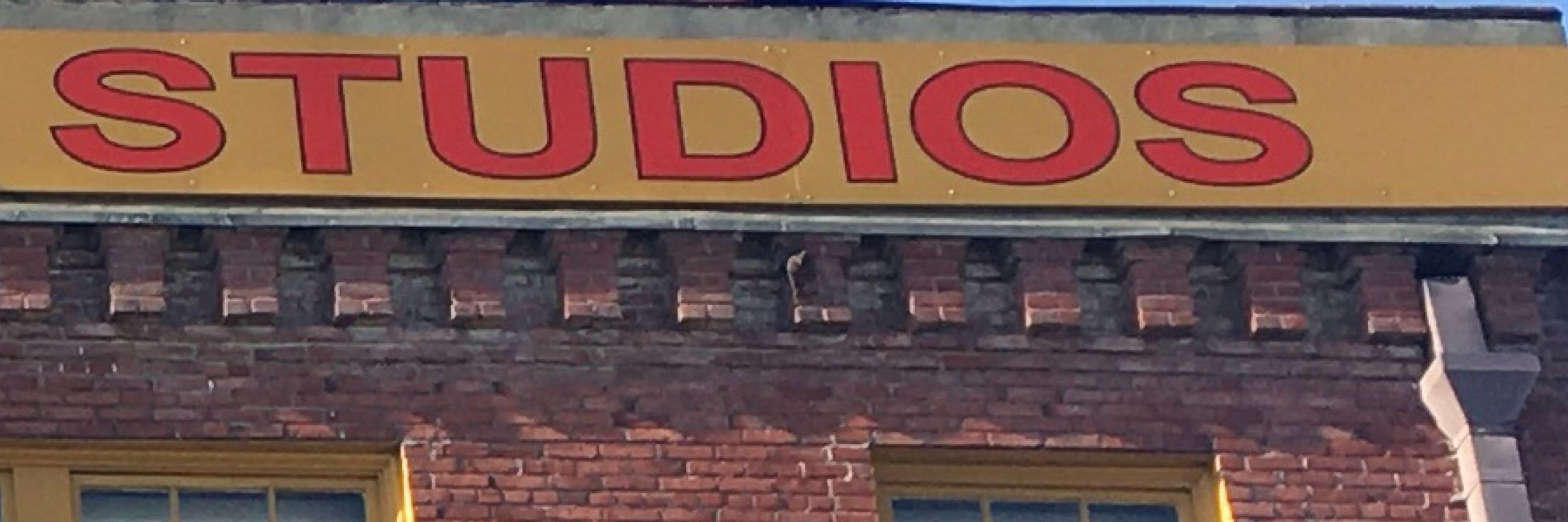 Pursuits Studio