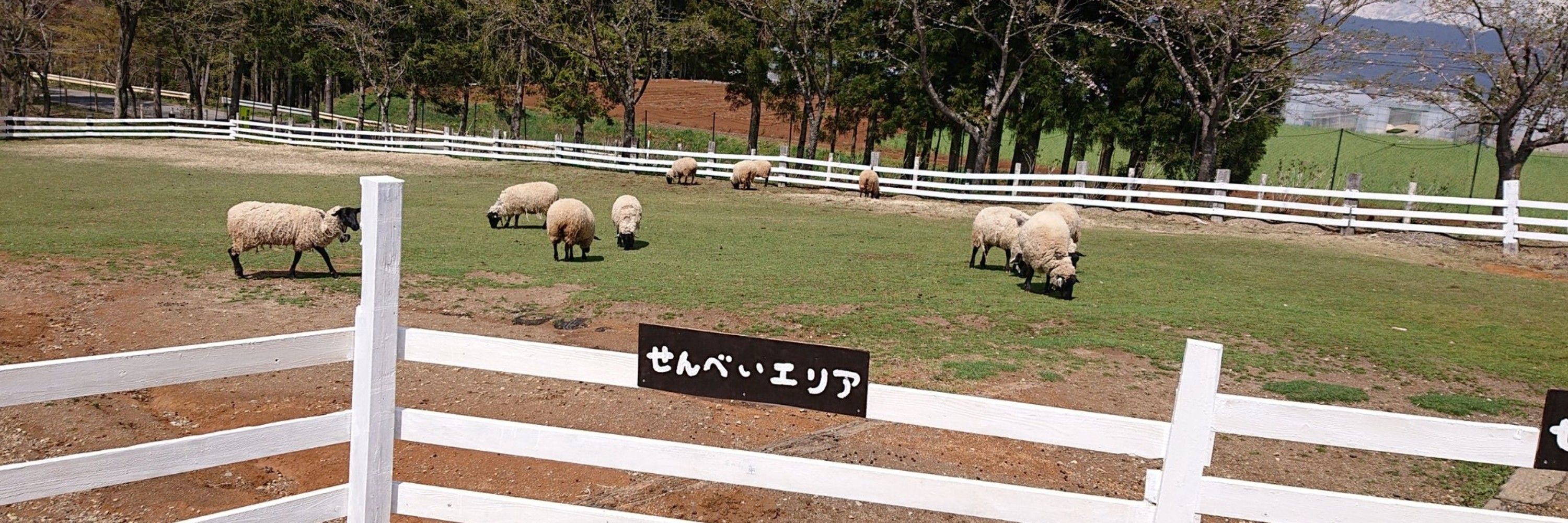 とも