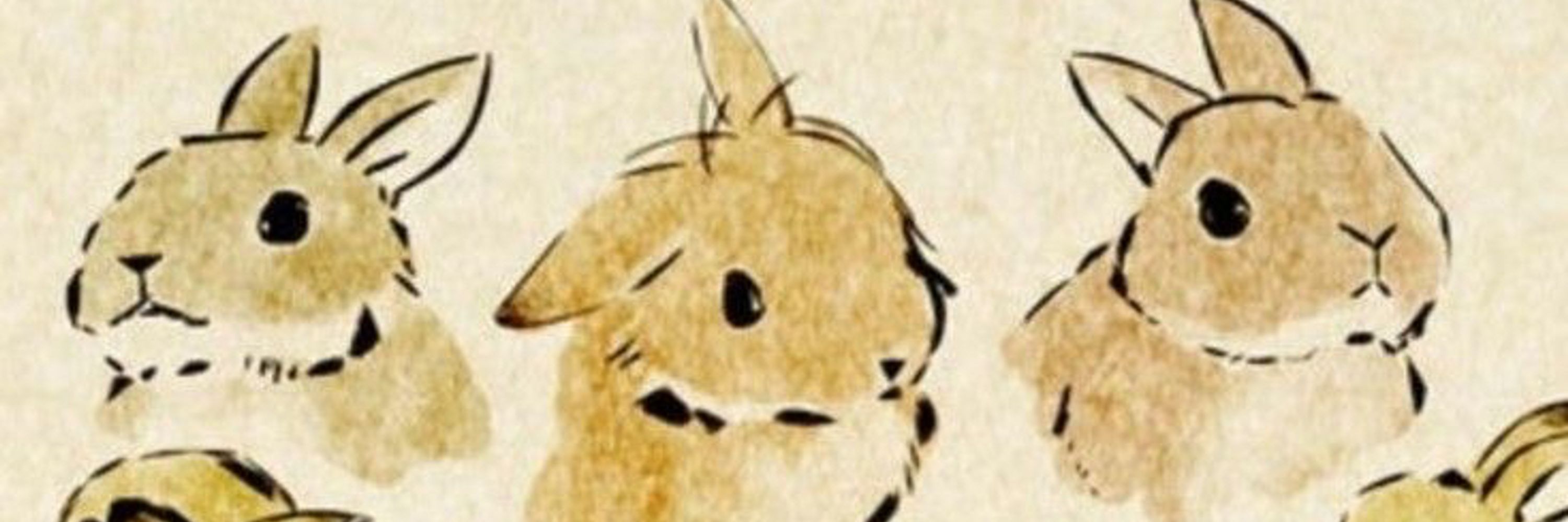 ‹〈 Pax™ 〉›