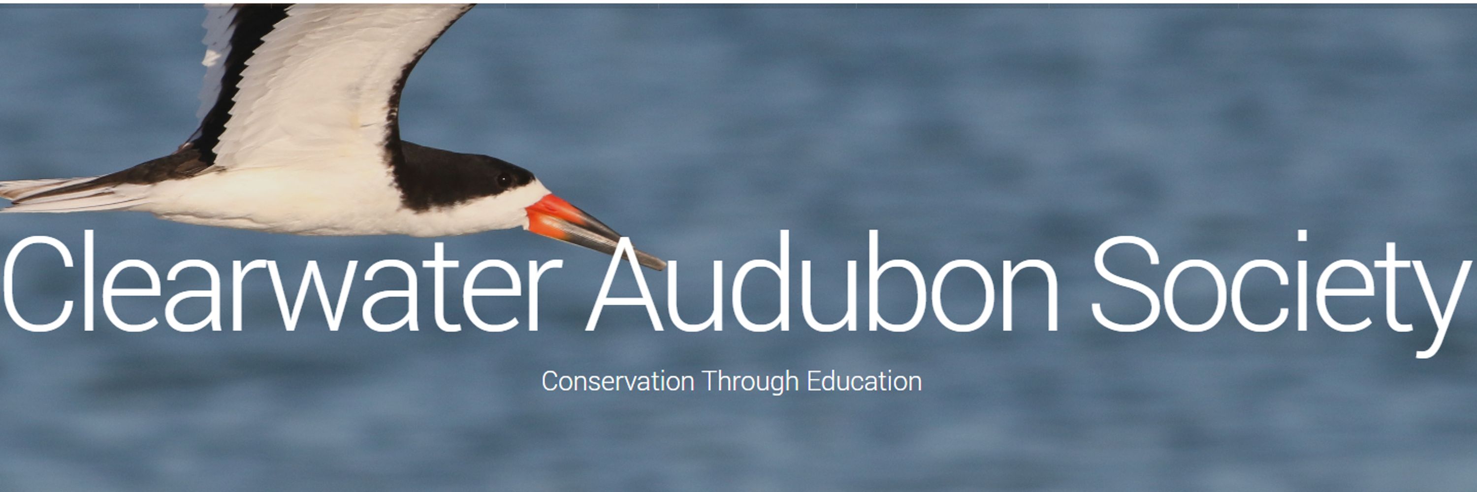 Clearwater Audubon Society