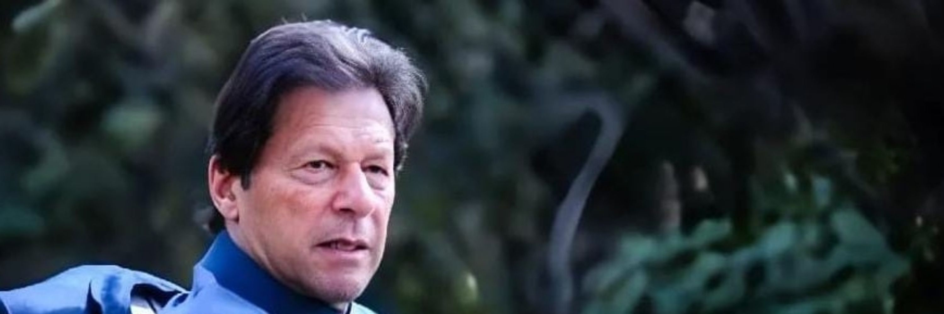 Ladla Awan PTI