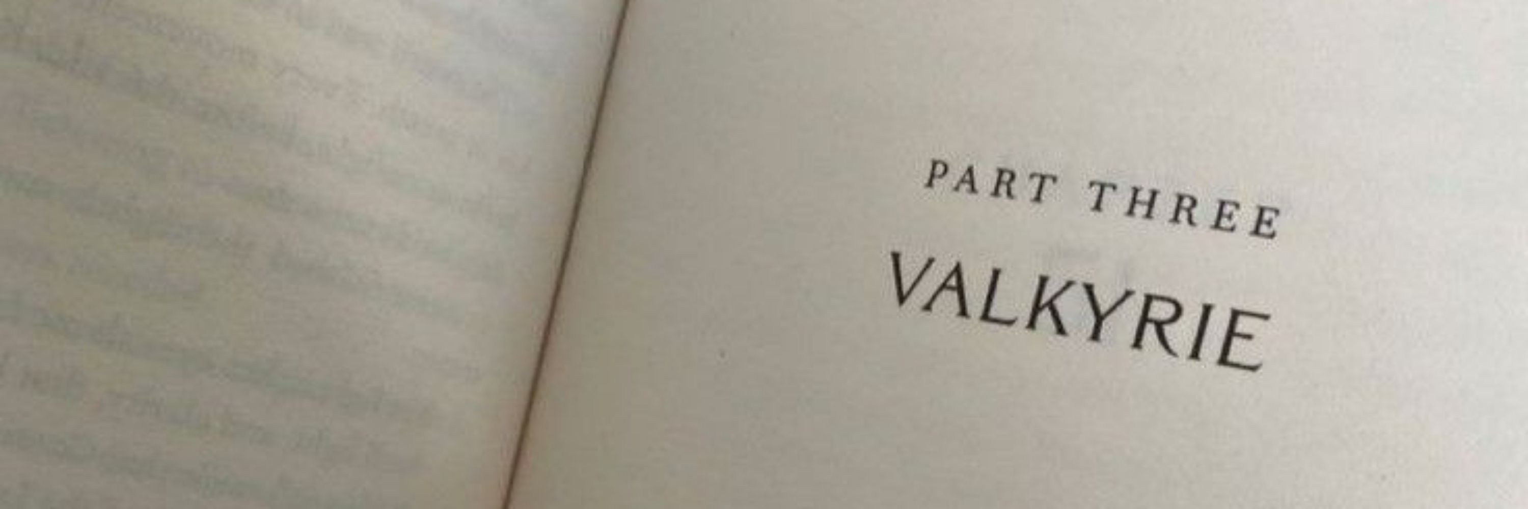 Bia 📖: a noiva do capitão