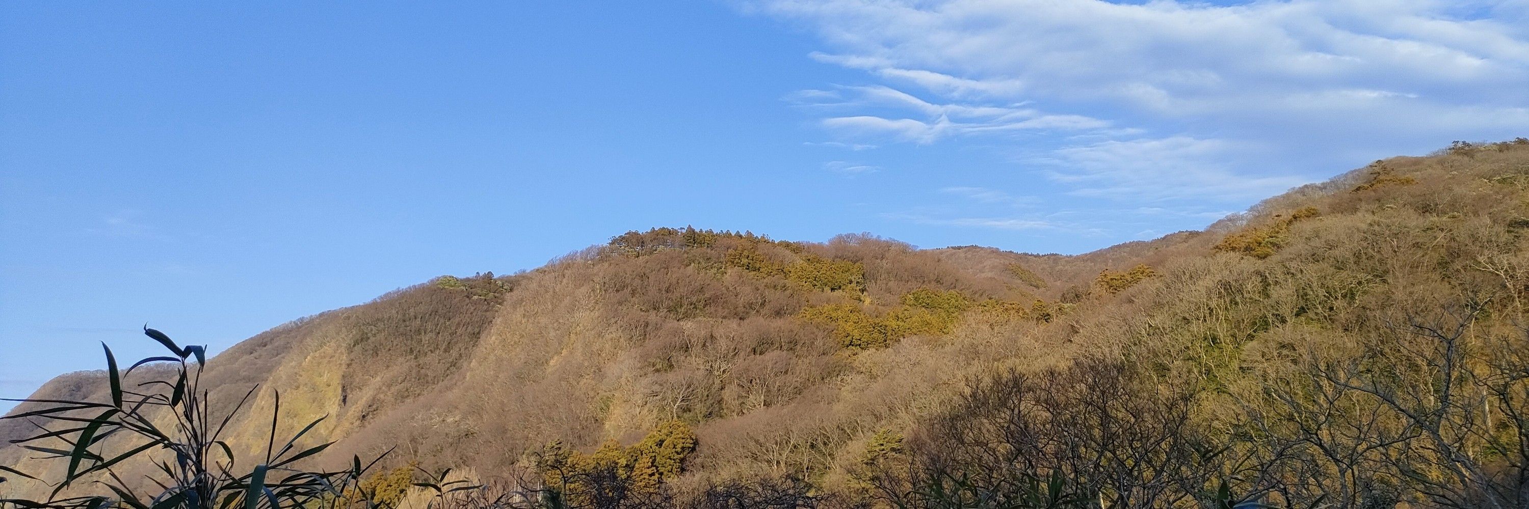 えんまな
