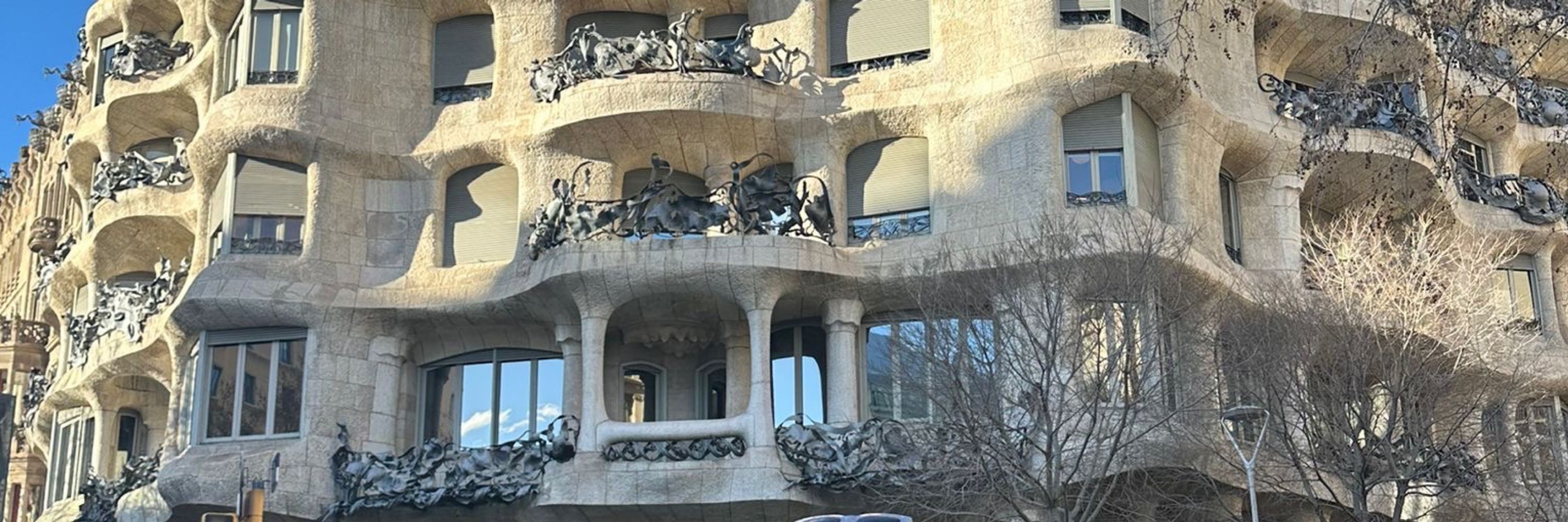 Ce’lerinAnnesi