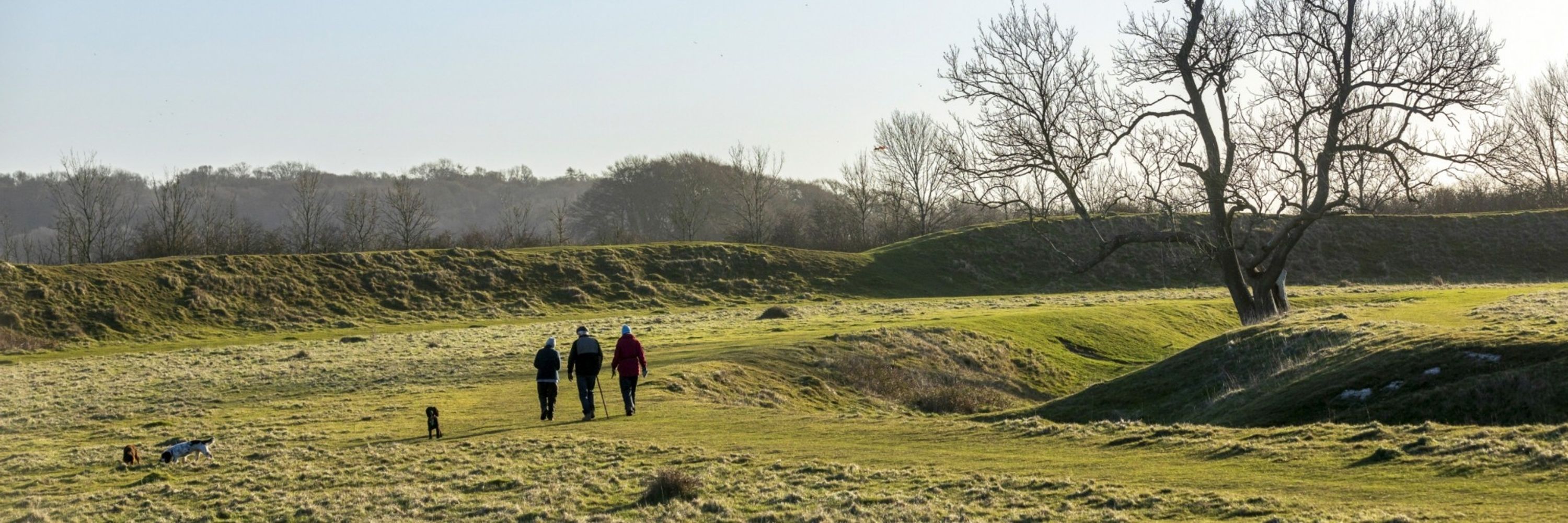 National Trust Archaeology