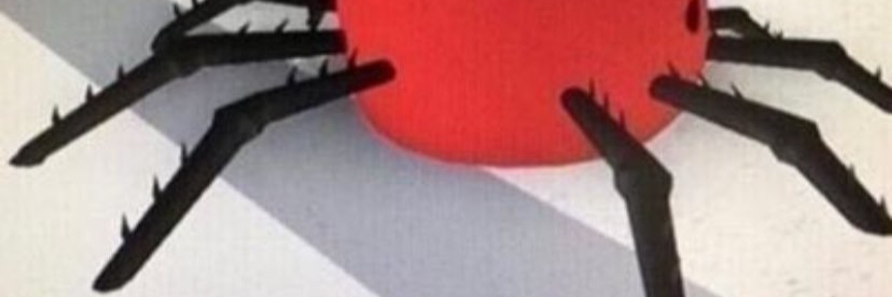 Despacito Spider