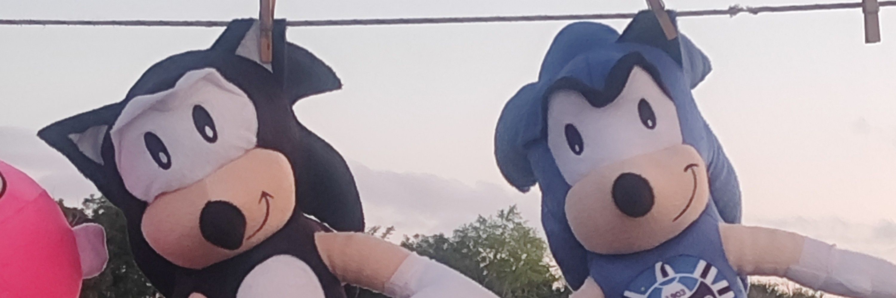 Mario Bruno