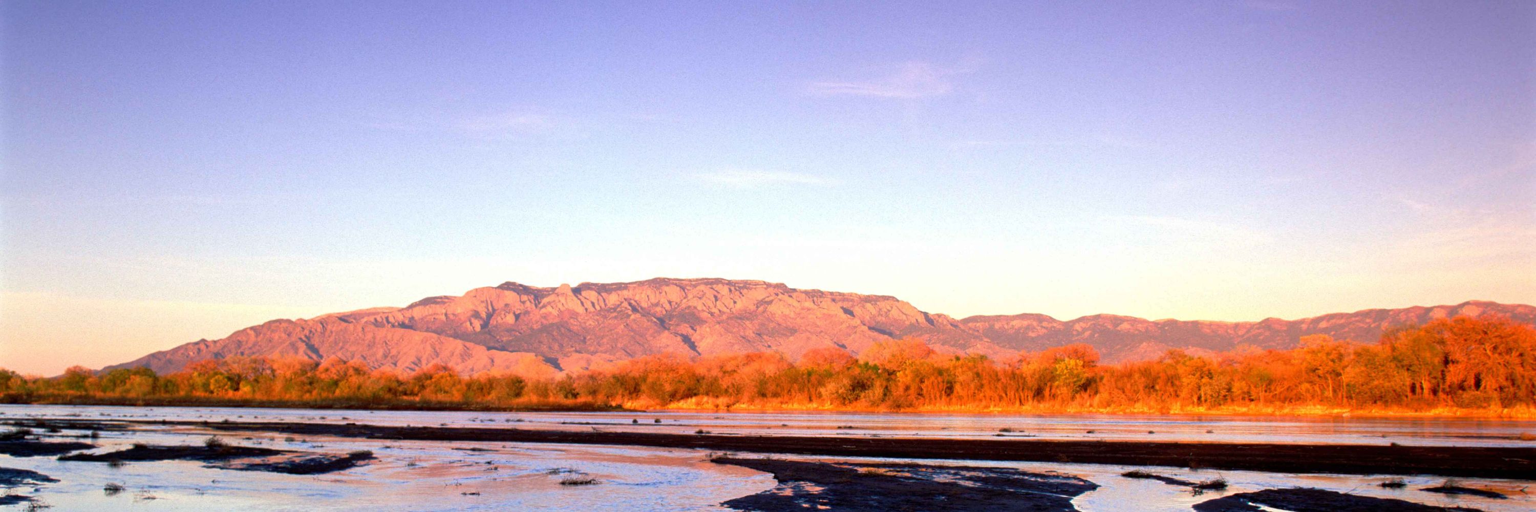 City of Albuquerque