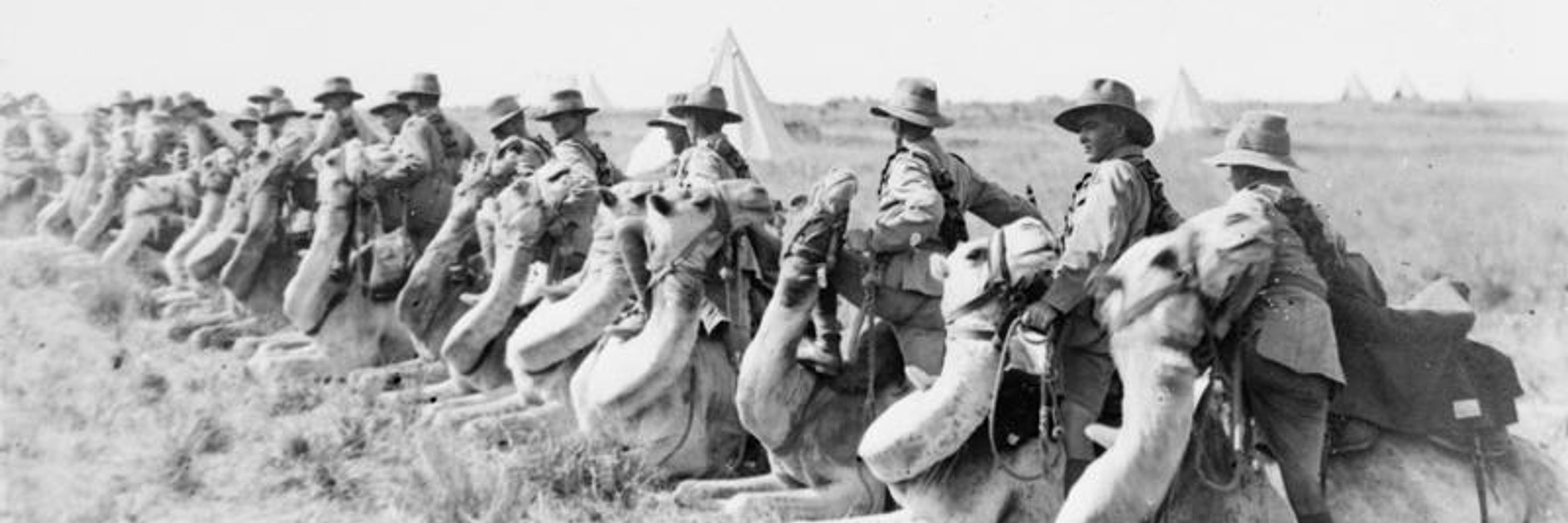 Not the Western Front Society