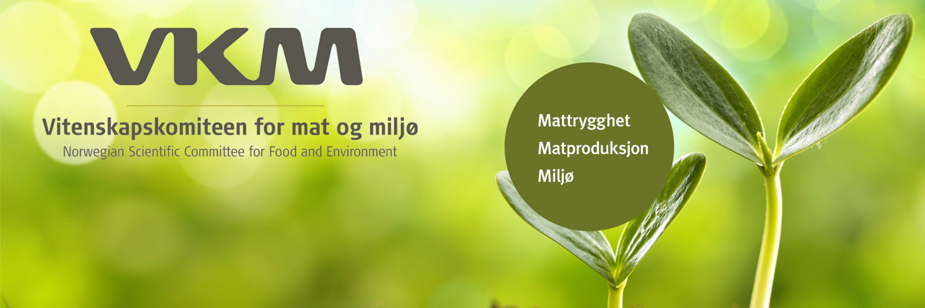 Vitenskapskomiteen for mat og miljø (VKM)