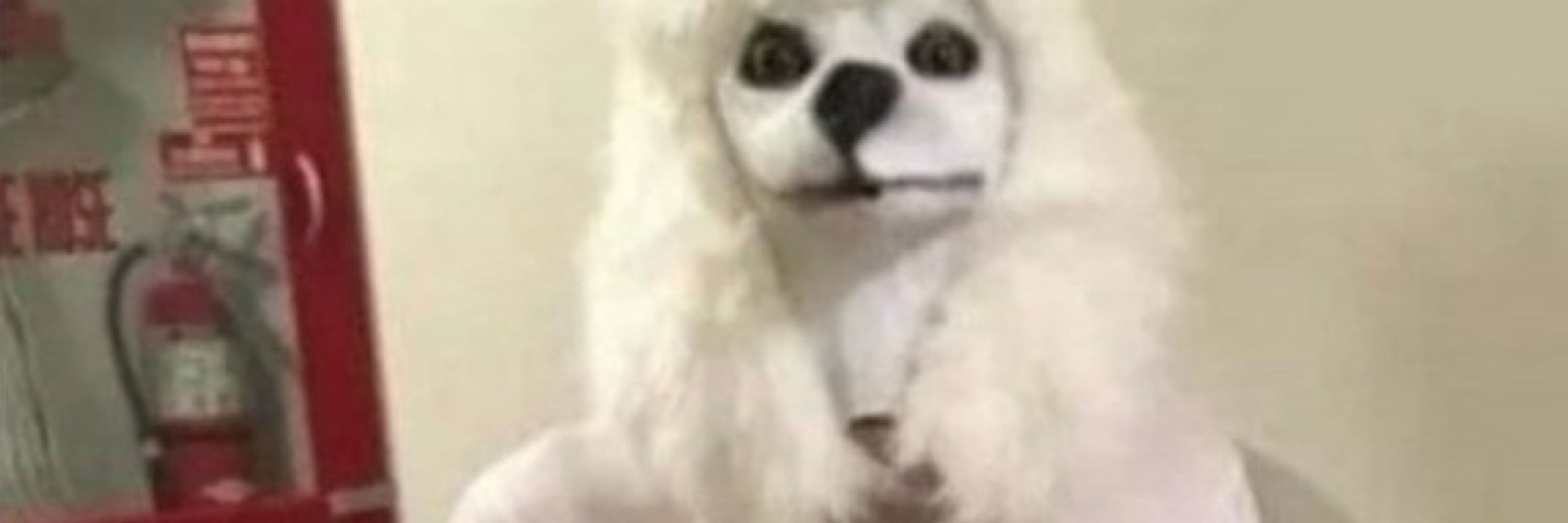 jã1