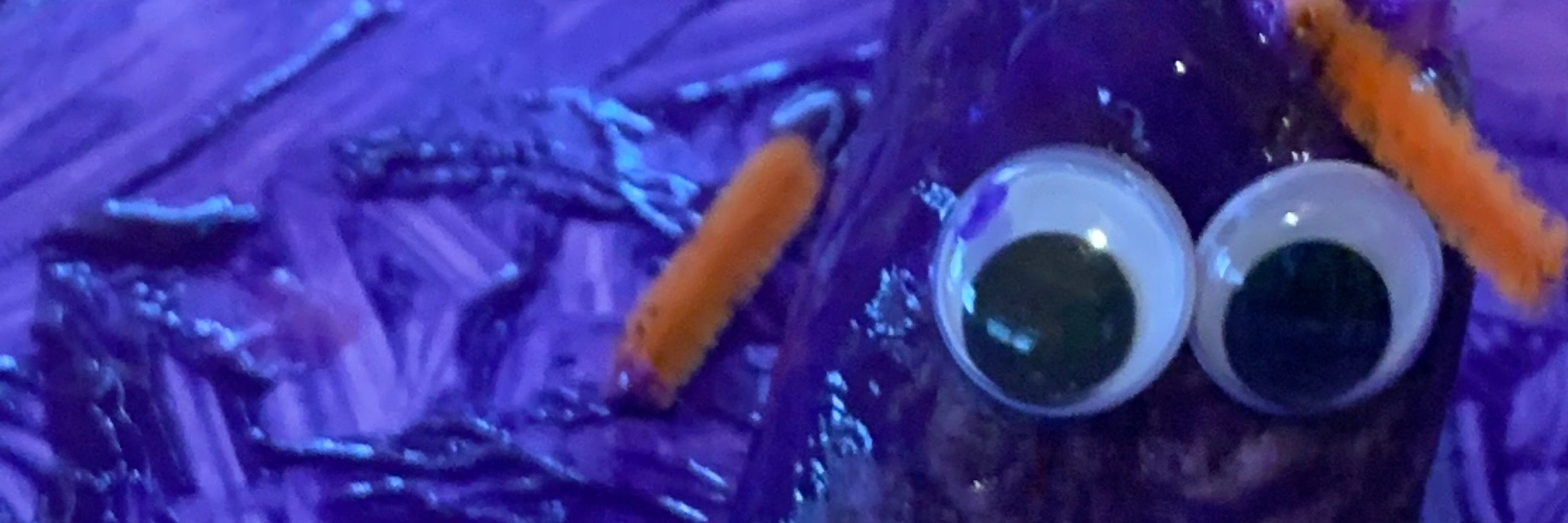 IV