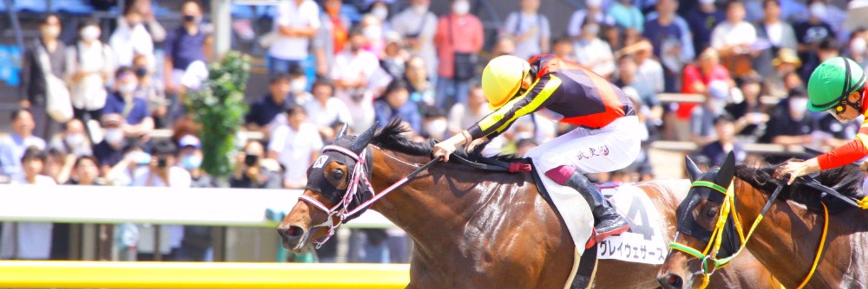 MIZUKI 競馬アナリスト