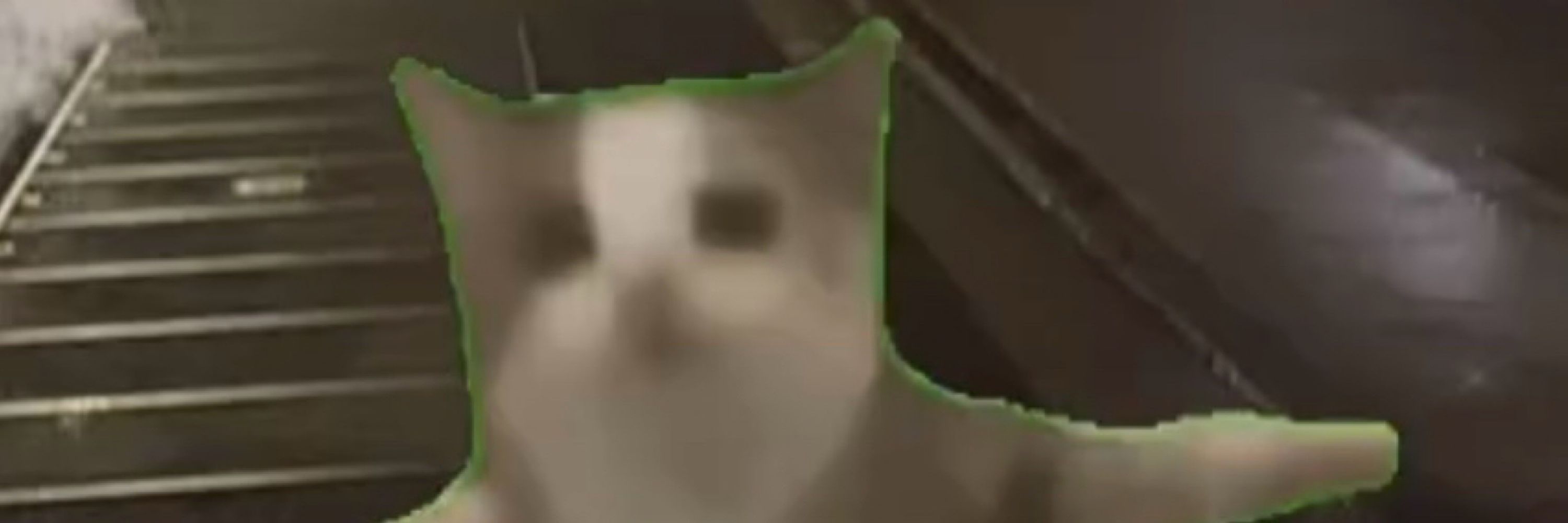 MAG