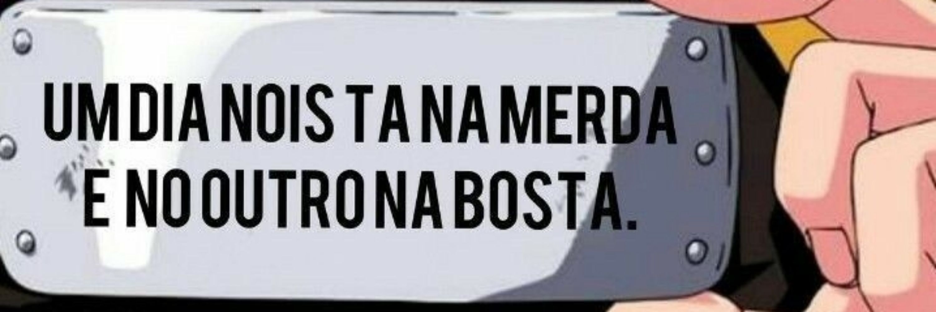 Med Vet até o pescoço⁷