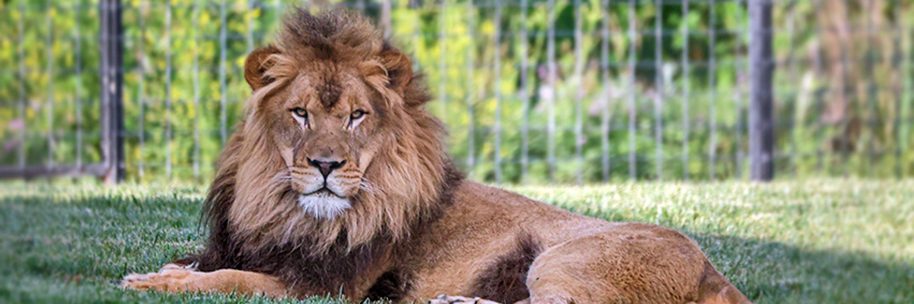 Rolling Hills Zoo 