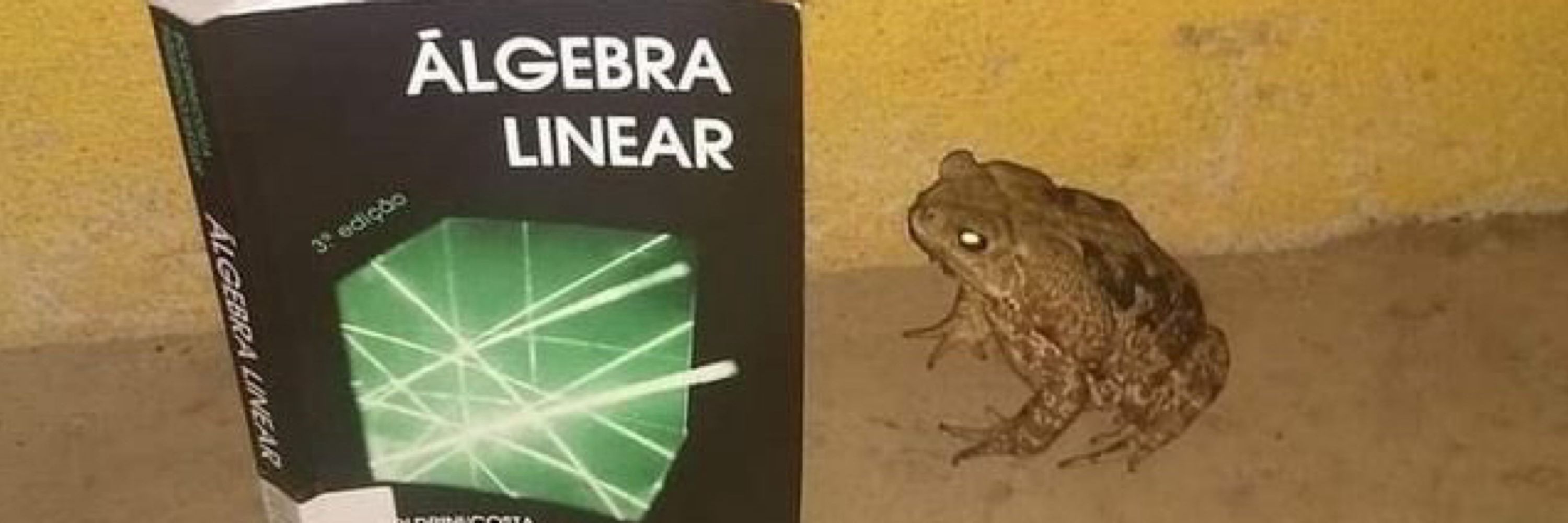 𝓯𝓻𝓮𝓪𝓴𝔂 linguiça