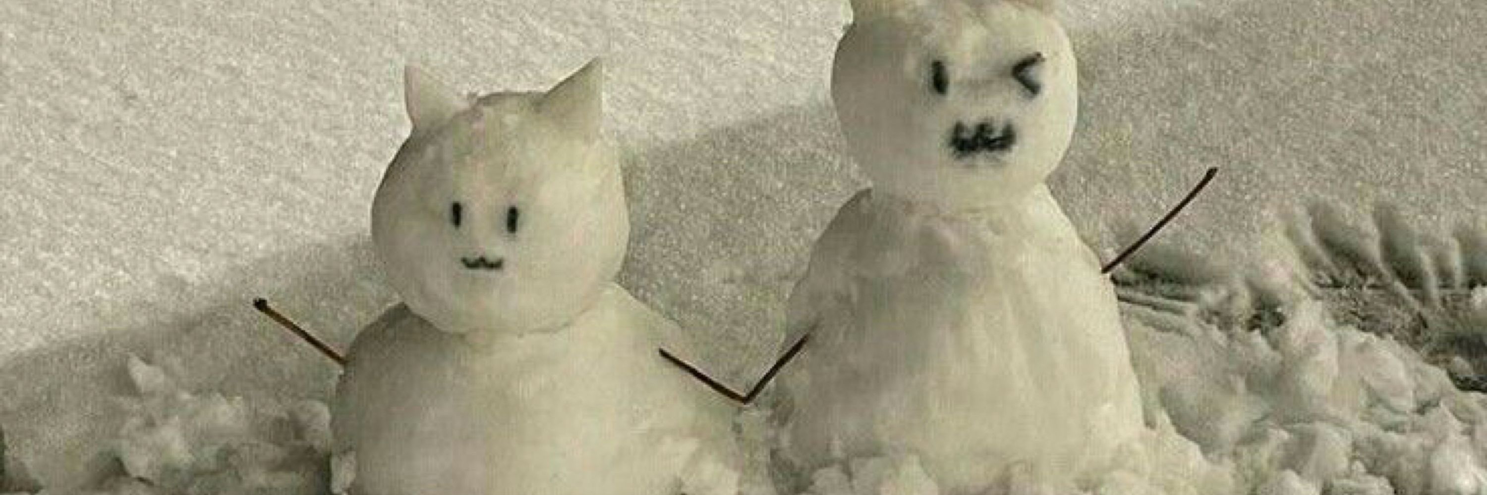 Kiki ☃️