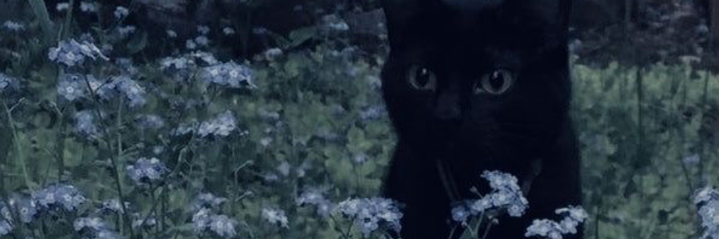 Nyx <3
