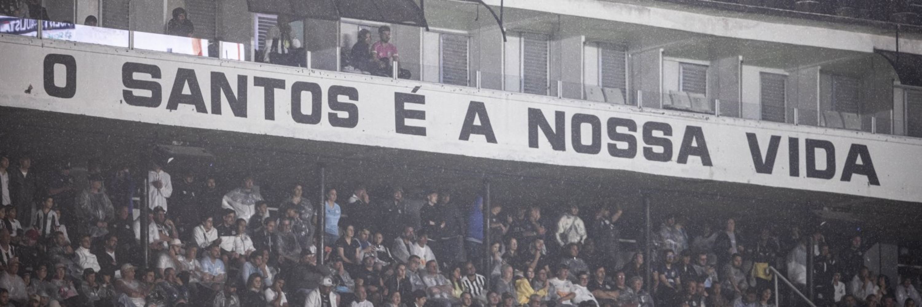 N i n h o ˢᶠᶜ