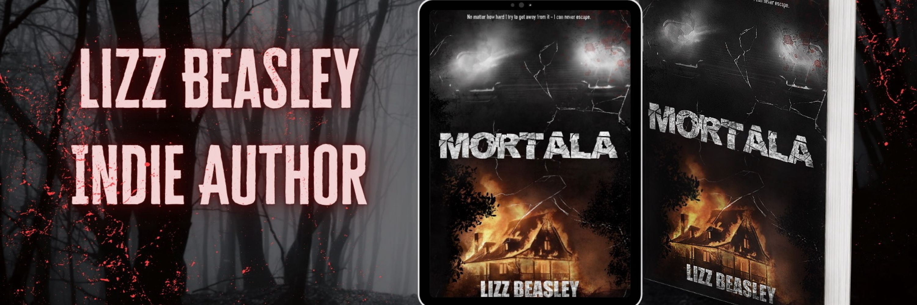 lizzbeasleyauthor