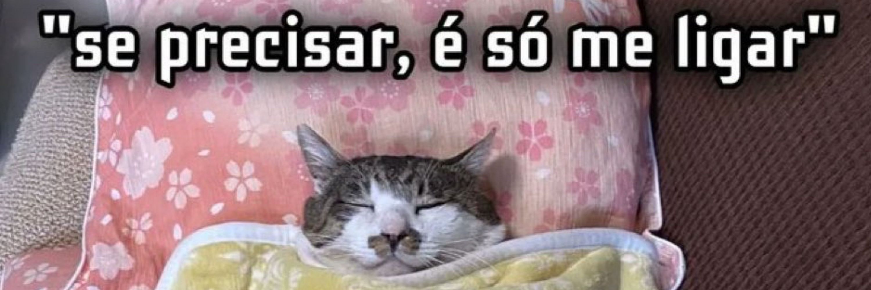 Júlia