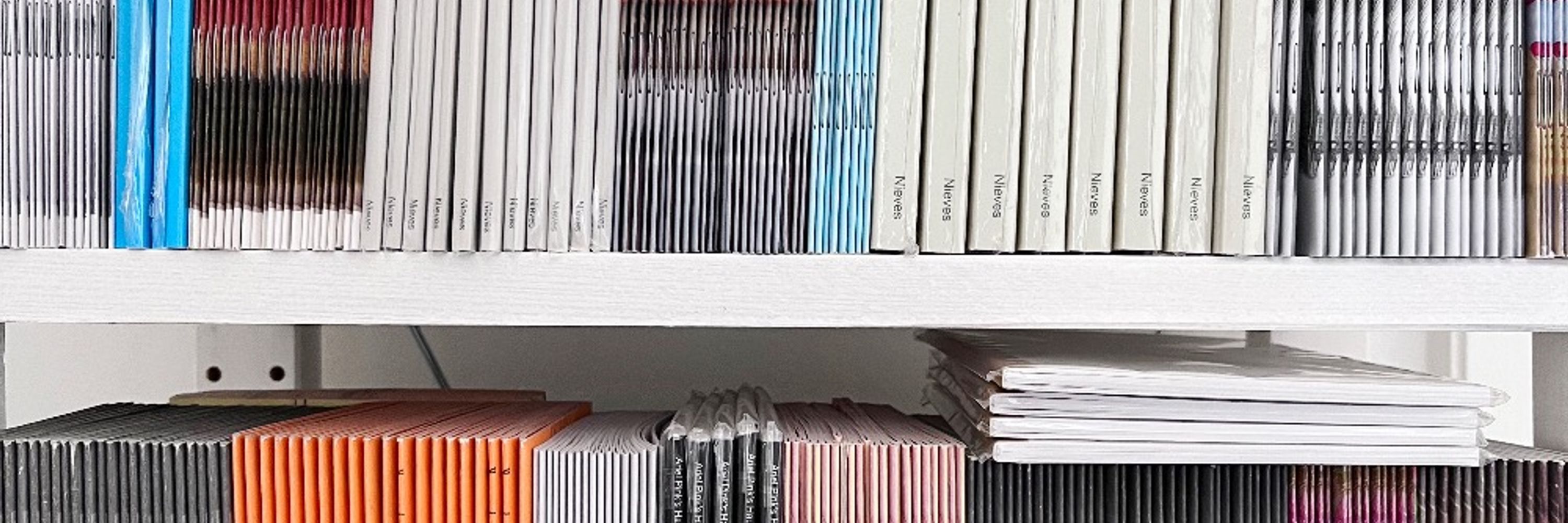nievesbooks.bsky.social