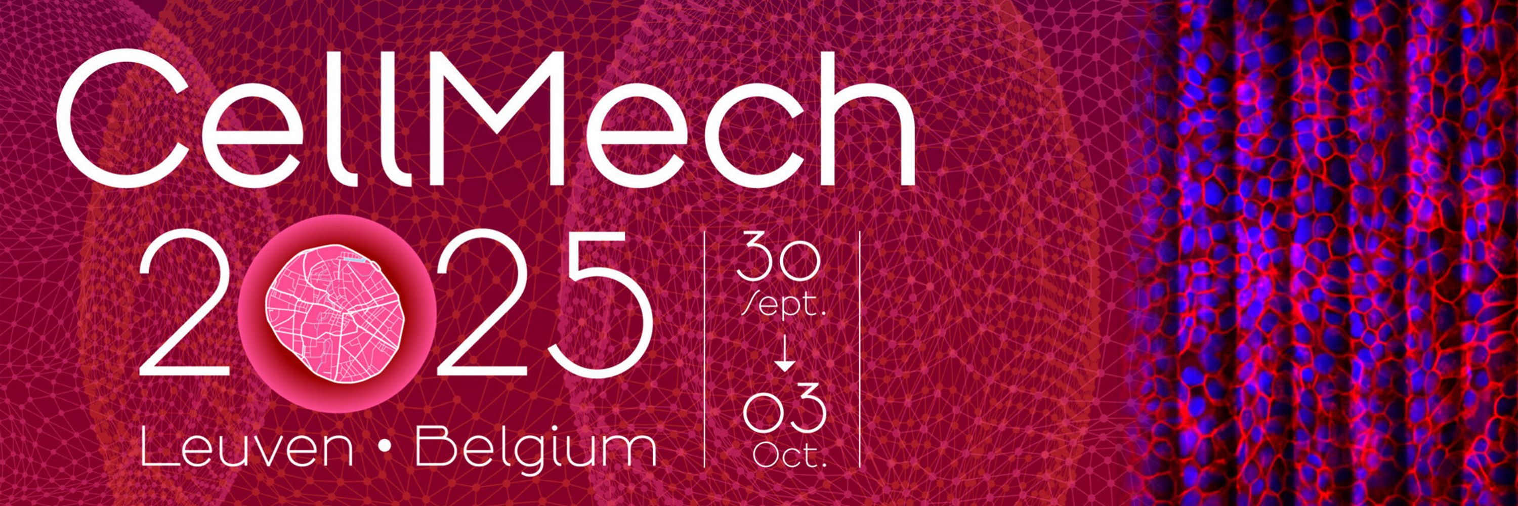 CellMech2025