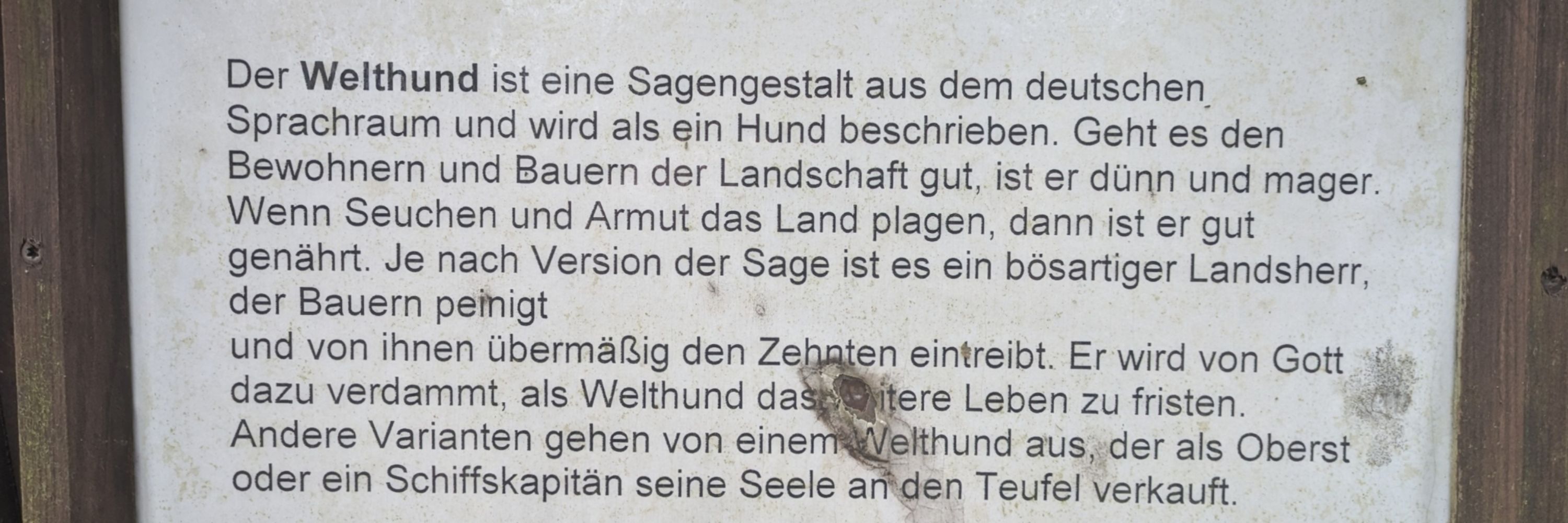 Welthund