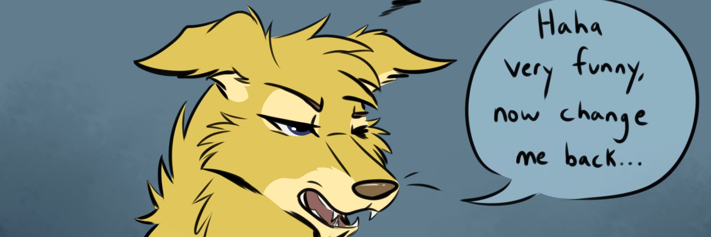 That golden cat 