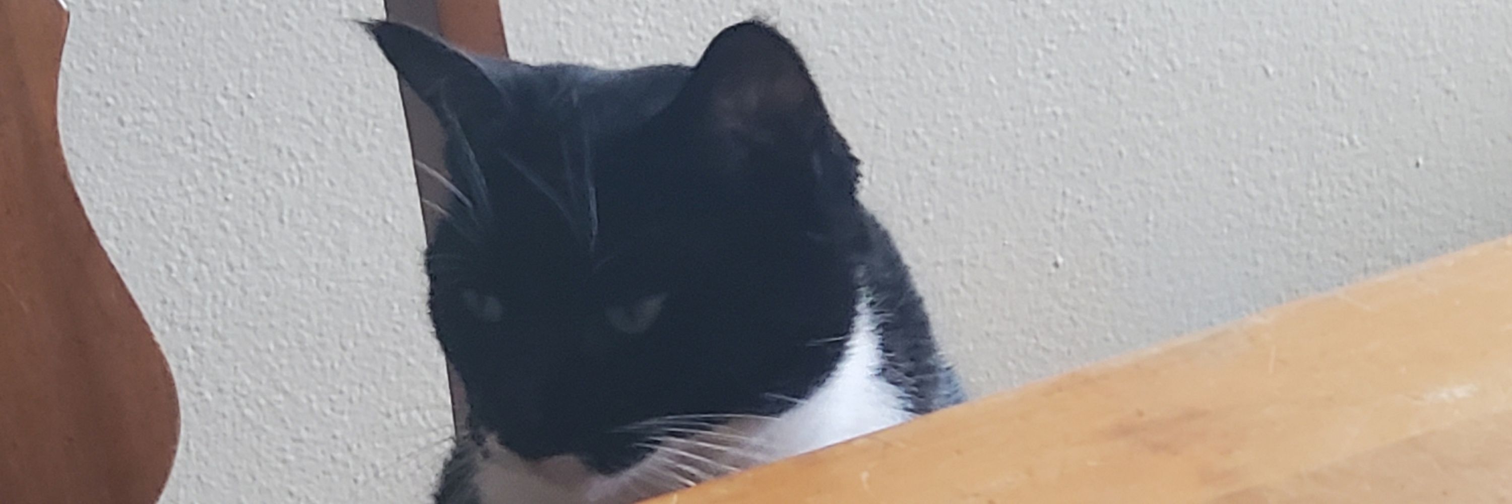 Dr Pepper, PhD in Applied Bevvies