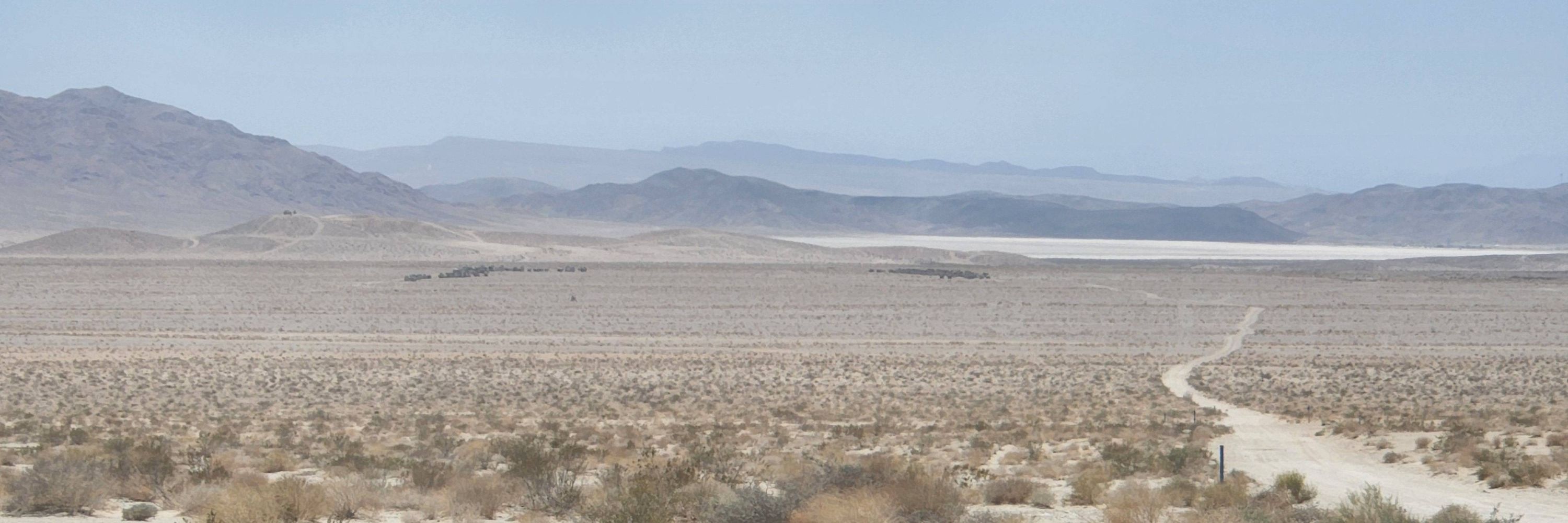Mojave Rick 🫘